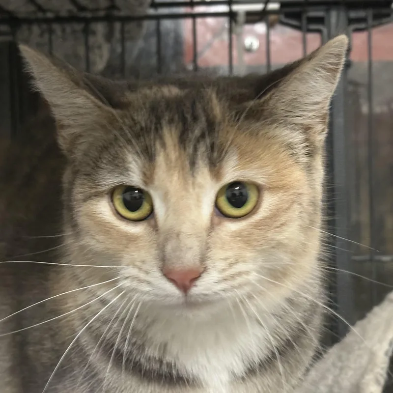 Milky Way thumbnail 2