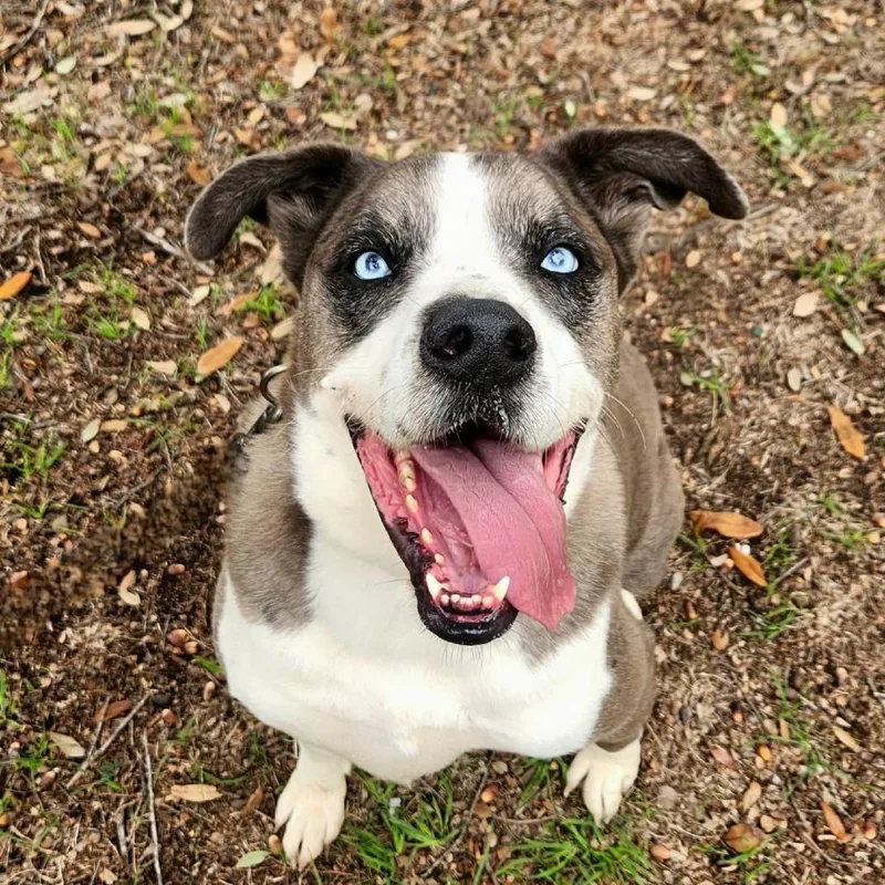 Tuffy Jum thumbnail 3