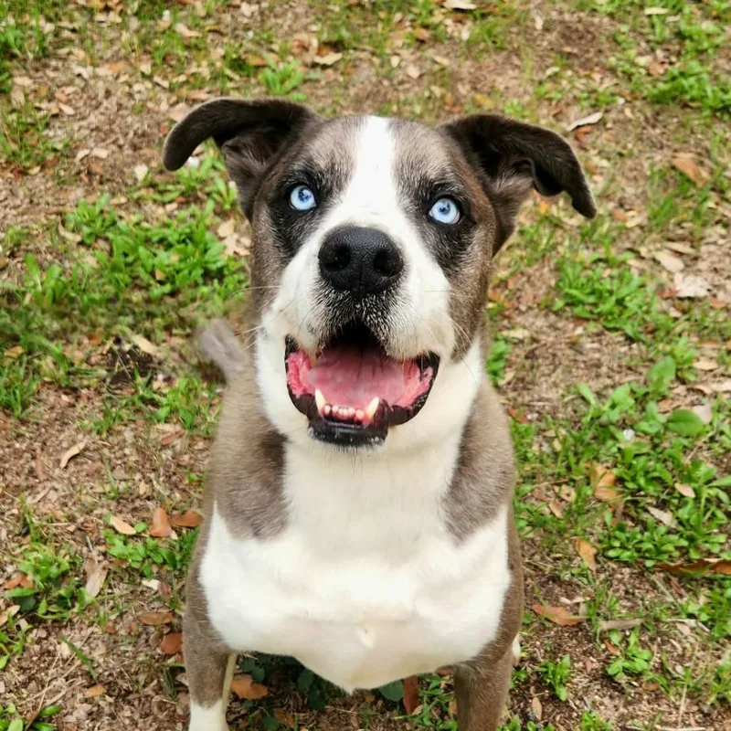 Tuffy Jum thumbnail 4