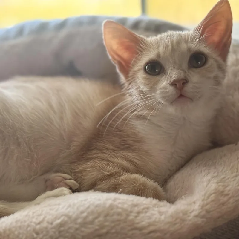 Margarita thumbnail 2