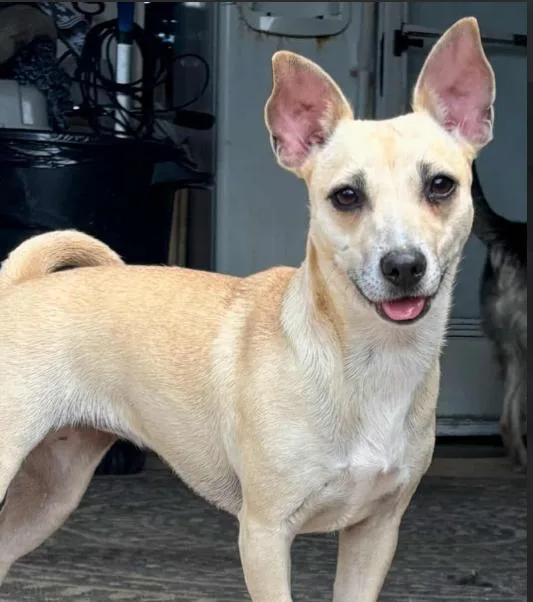 Sarah In Tx thumbnail 3