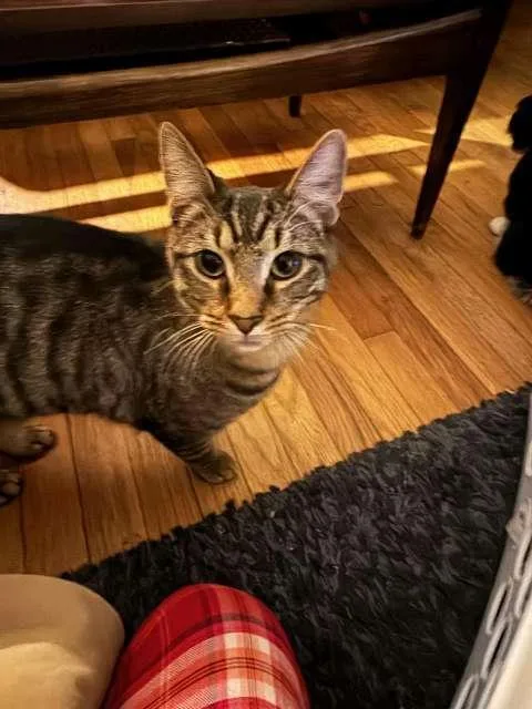 Jimmy Reed thumbnail 2