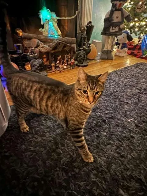 Jimmy Reed thumbnail 3