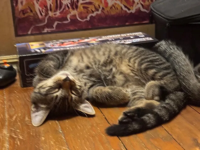 Jimmy Reed thumbnail 5