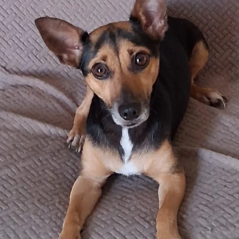 Mia Tiny thumbnail 2