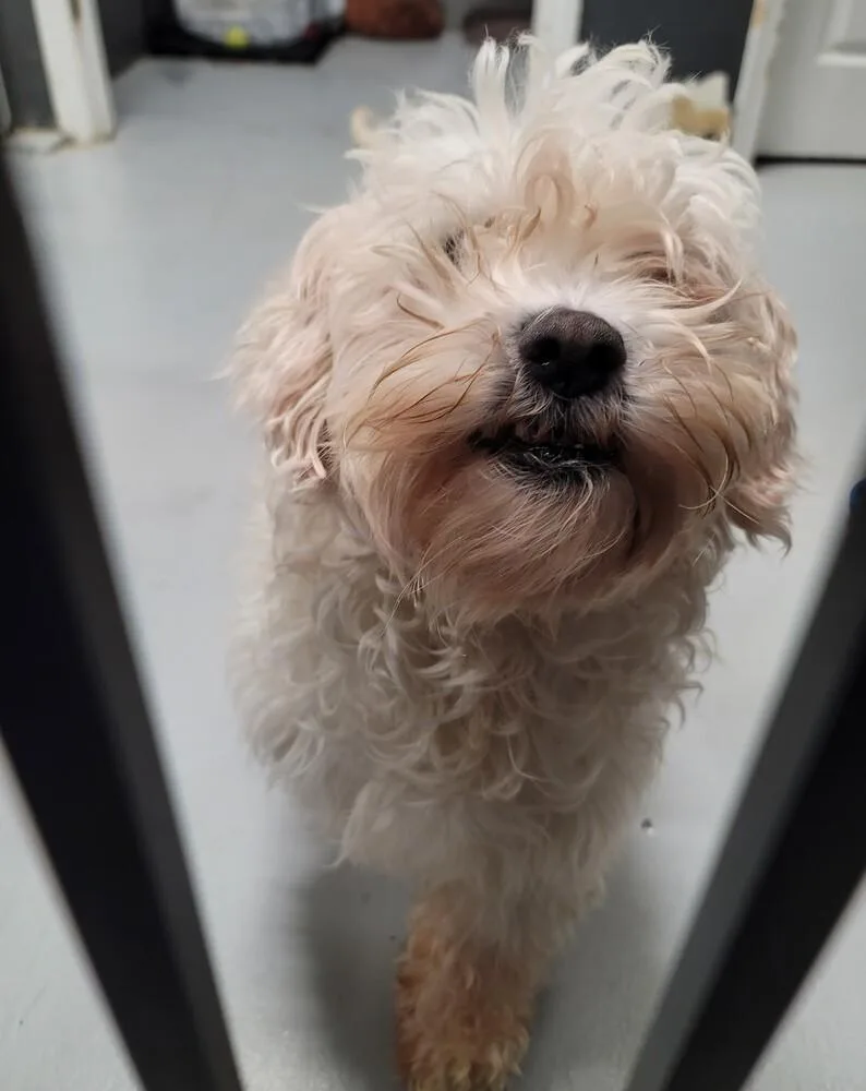 Fraizer Kern thumbnail 4