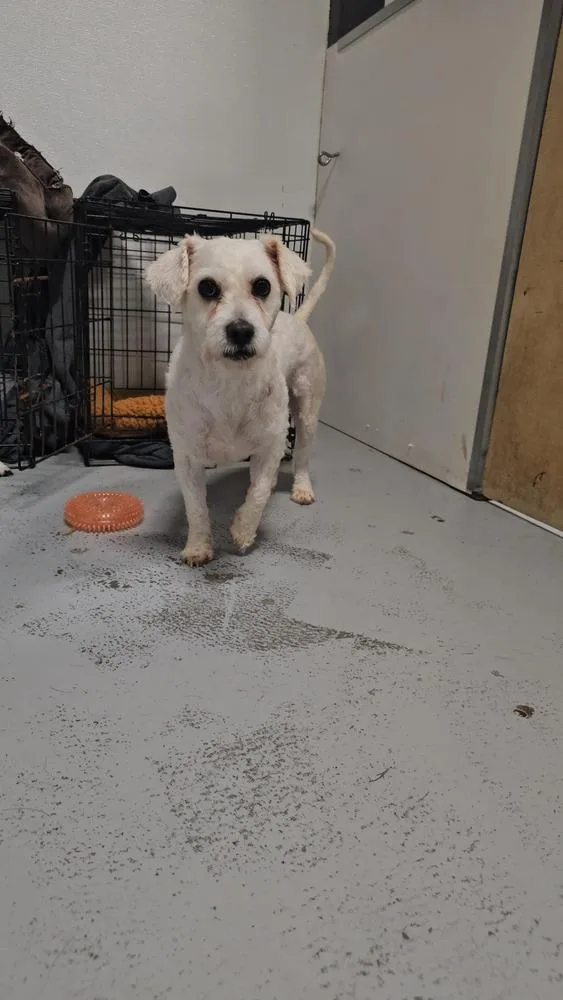 Fraizer Kern thumbnail 5