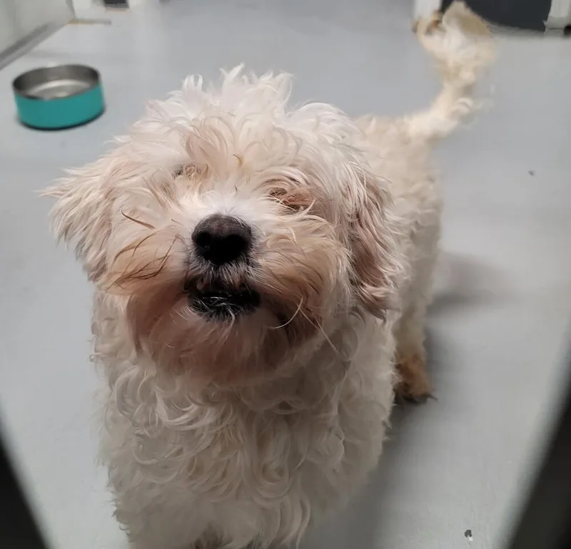 Fraizer Kern thumbnail 6