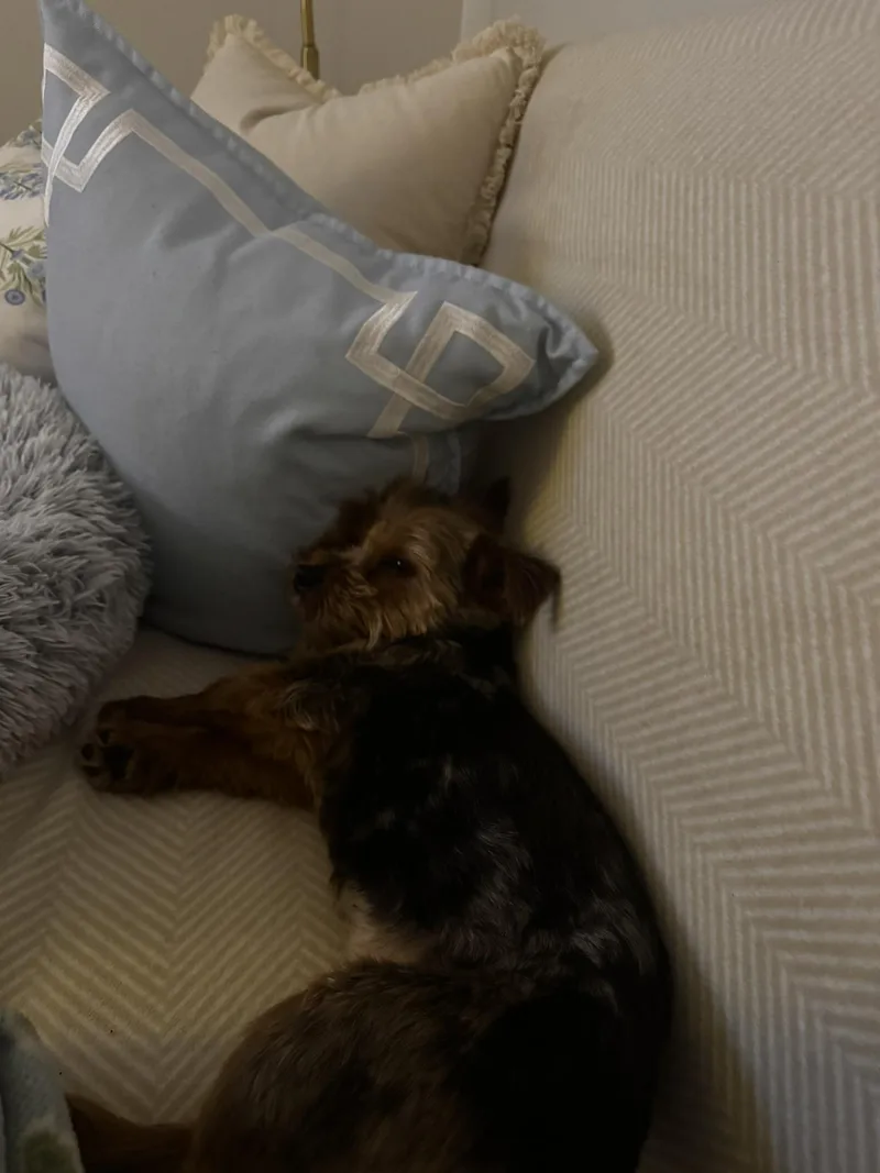 Franklin thumbnail 2