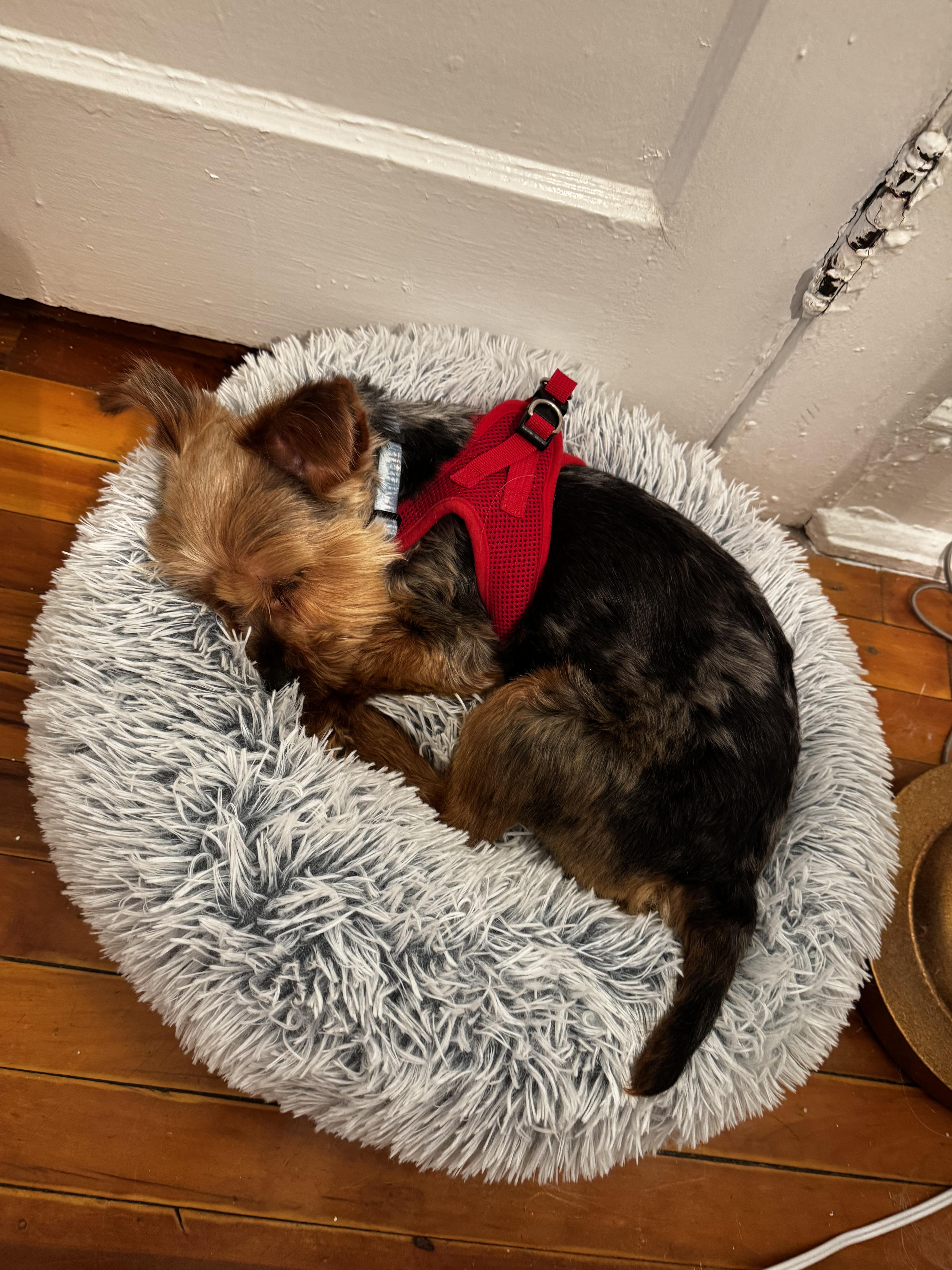 Franklin thumbnail 3