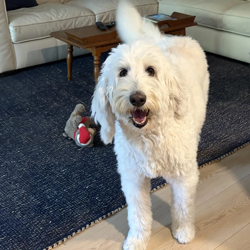 Summerflorida thumbnail 3