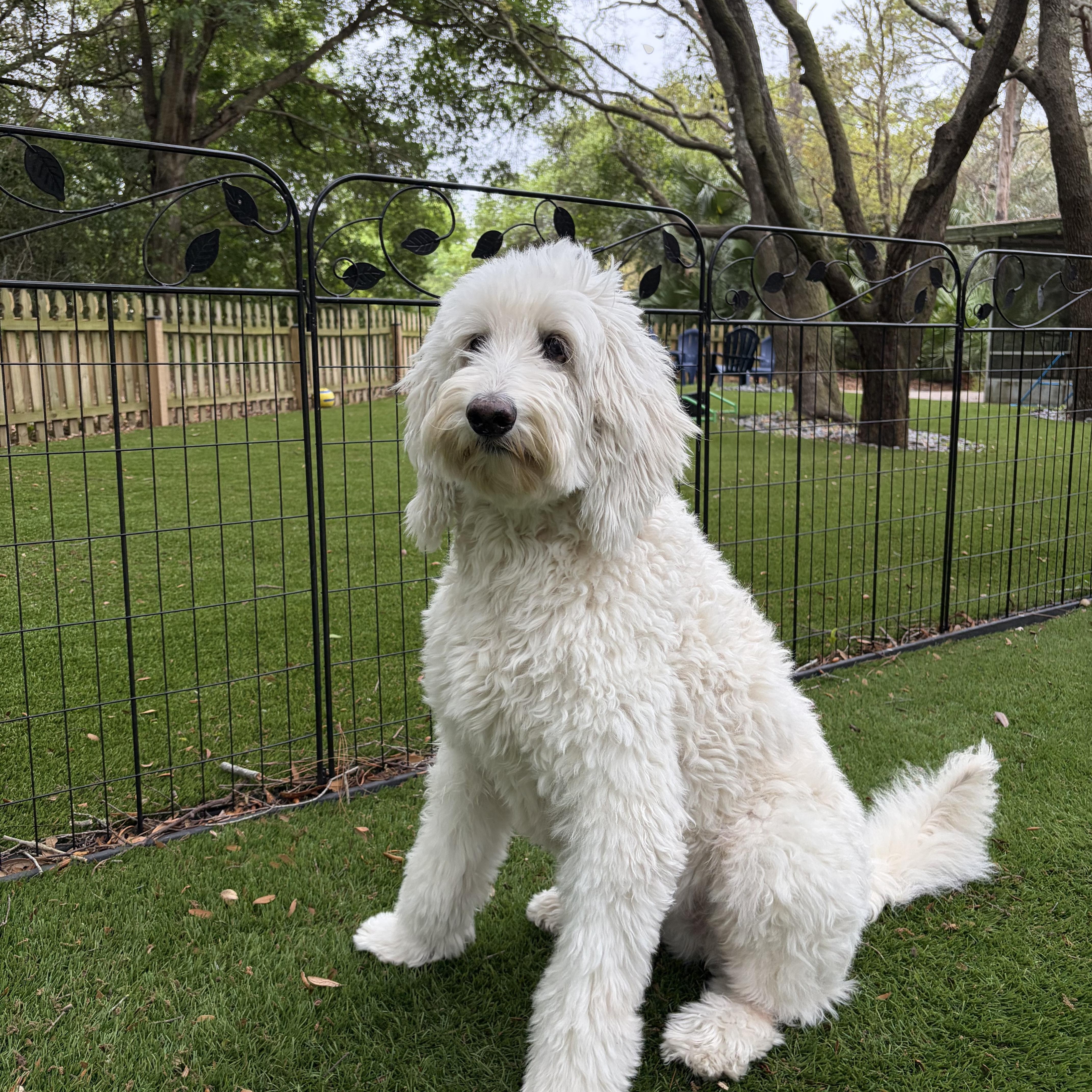 Summerflorida thumbnail 4