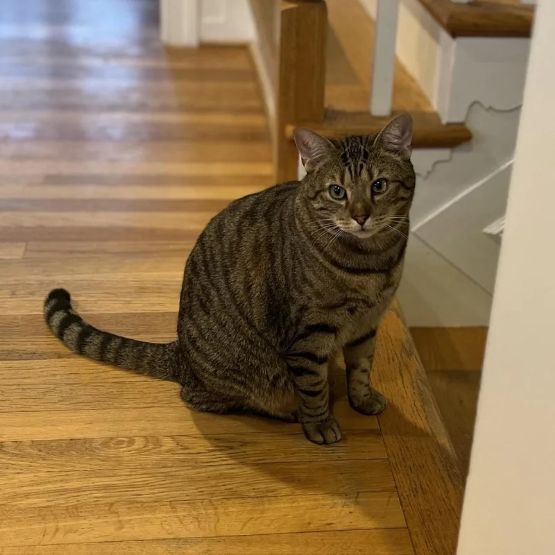 Reputation thumbnail 2