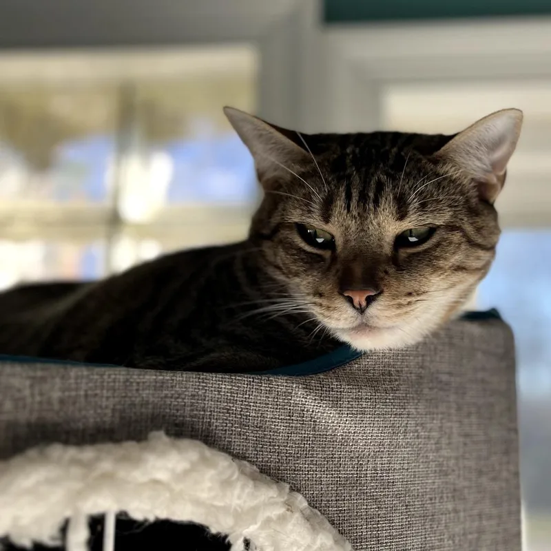 Reputation thumbnail 3