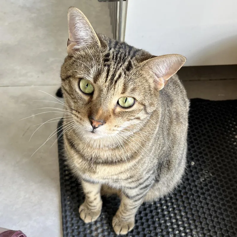 Reputation thumbnail 4