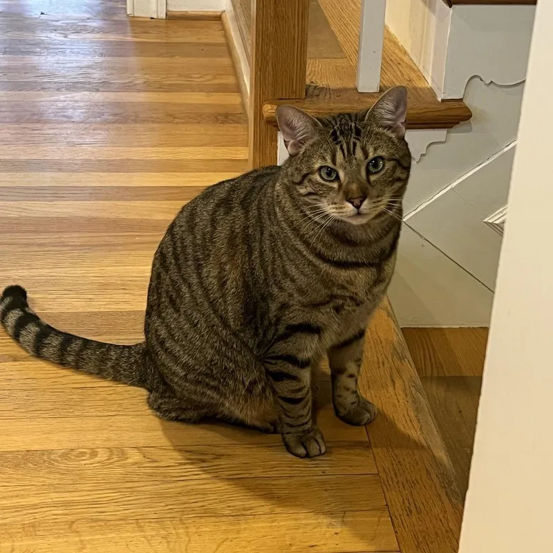 Reputation thumbnail 5