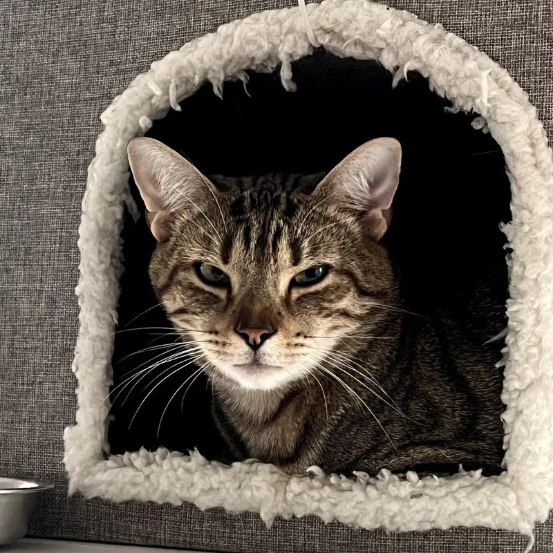 Reputation thumbnail 6