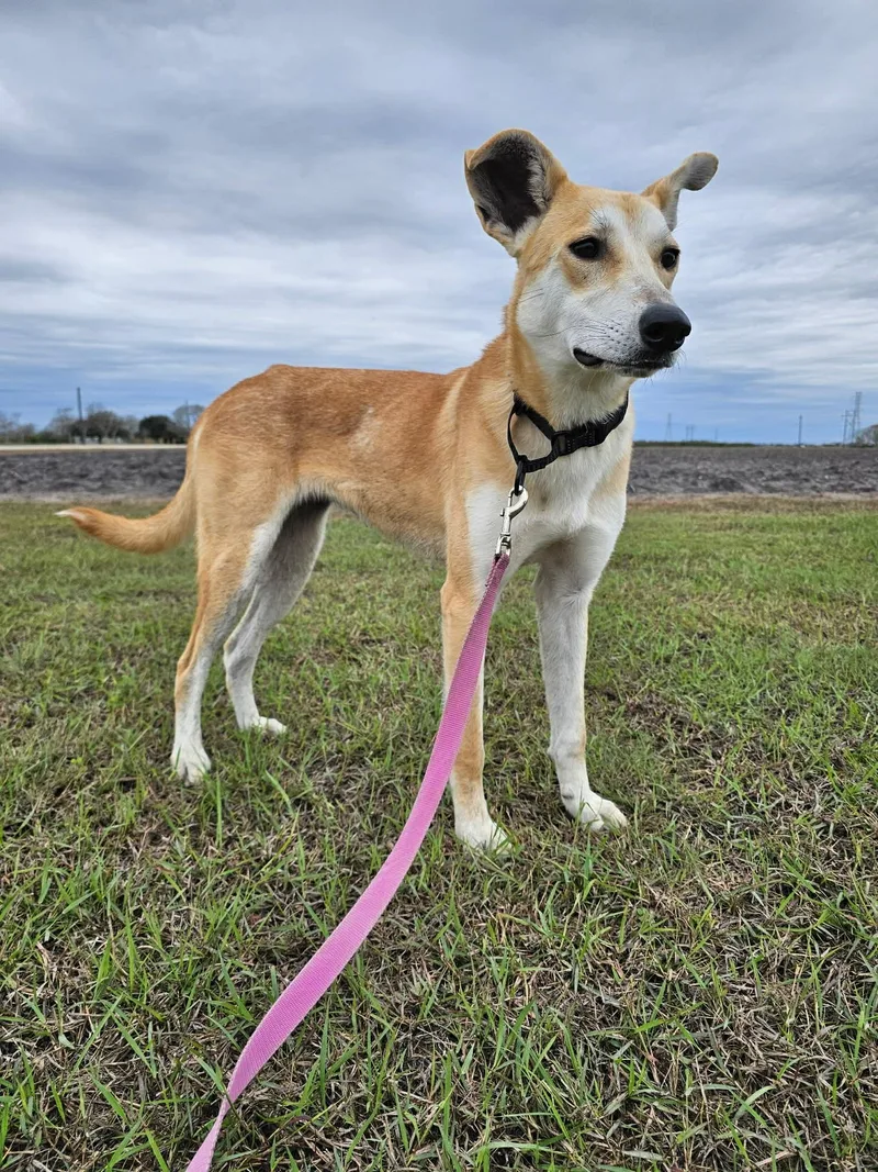 Yolanda Aka "yoli" thumbnail 2