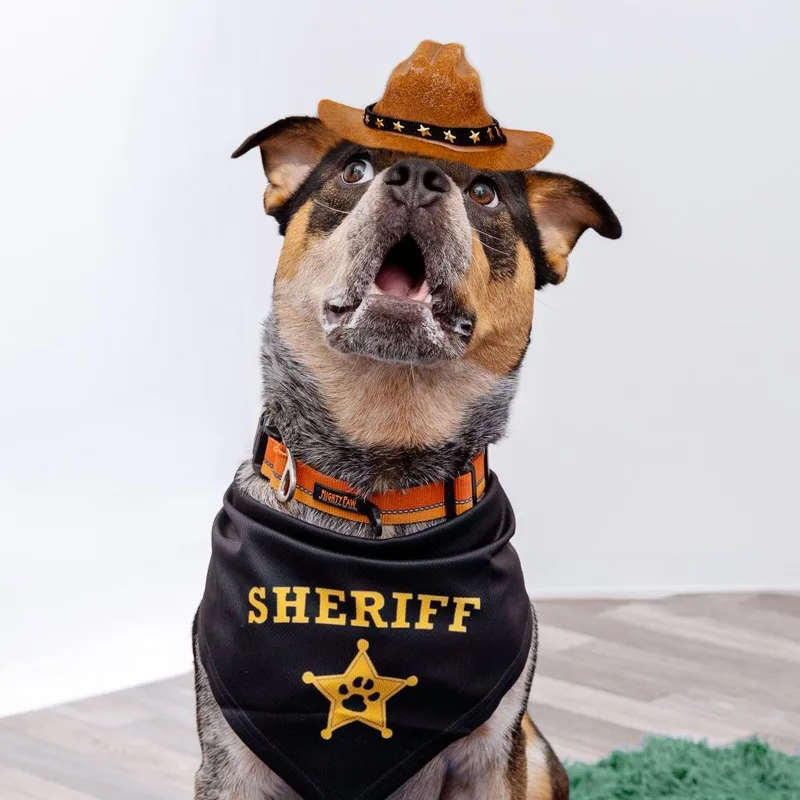 Sheriff Buzby thumbnail 3