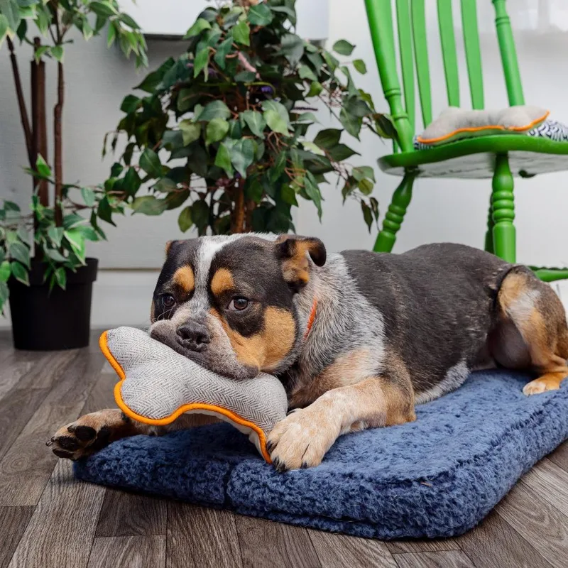 Sheriff Buzby thumbnail 6