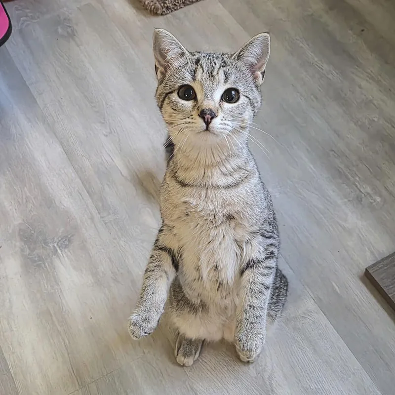 Heather Gummer thumbnail 4