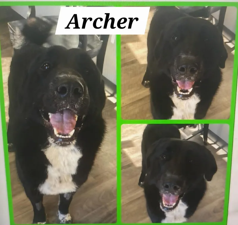 Archer