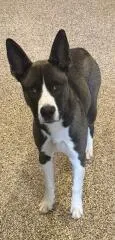 Buster