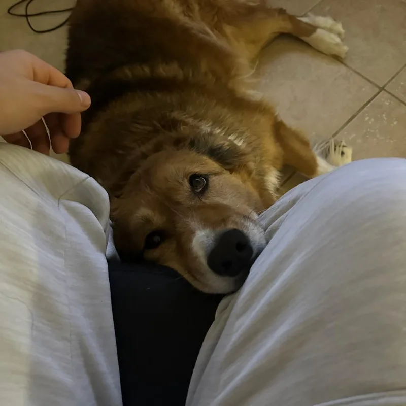 Franny thumbnail 3