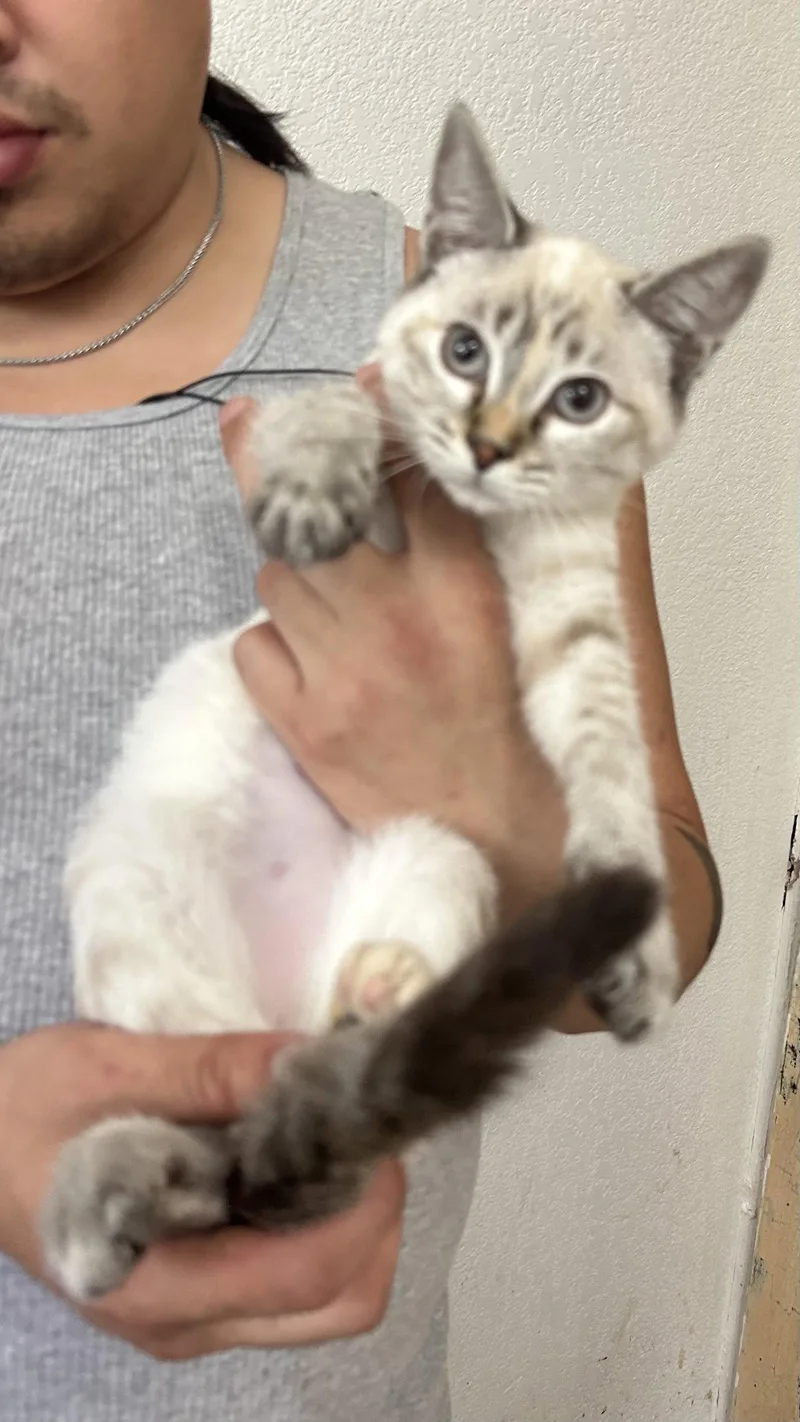Lucy Napa thumbnail 2