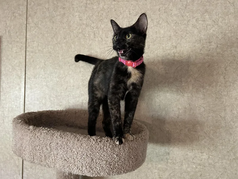 Mary Kate thumbnail 2