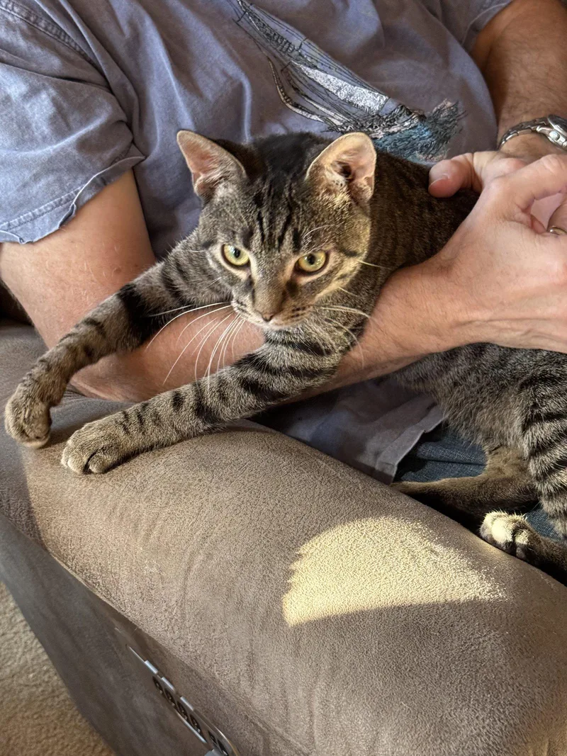 Tinky Winky thumbnail 2