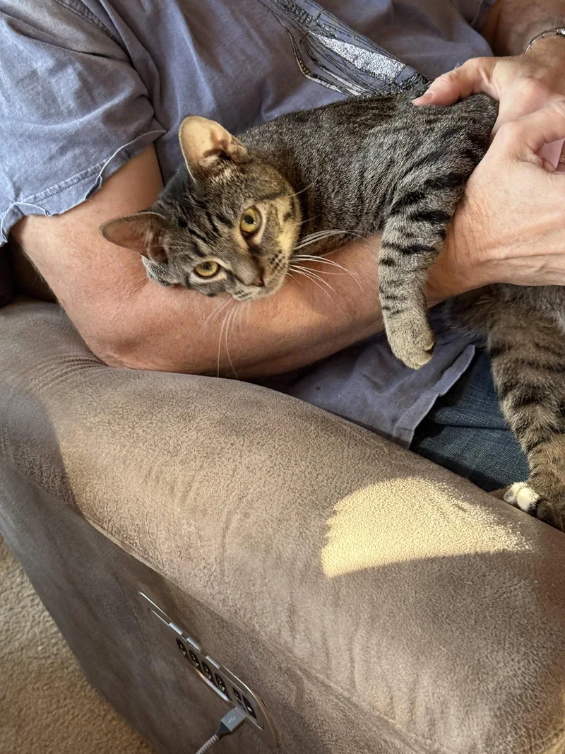 Tinky Winky thumbnail 3