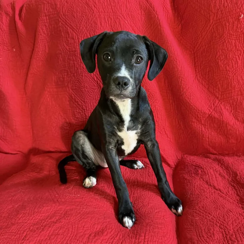 Edie May thumbnail 2