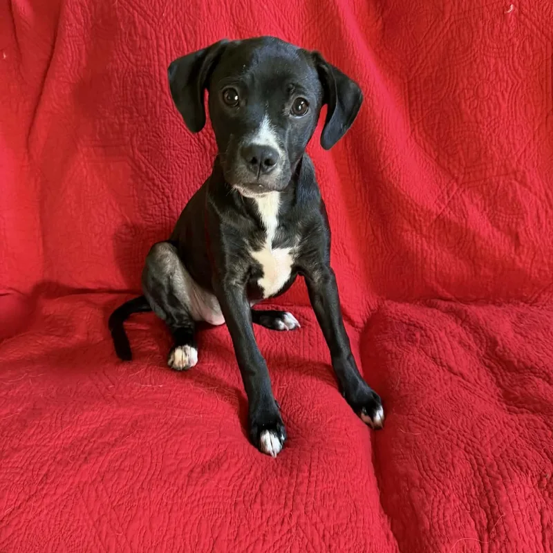 Edie May thumbnail 3