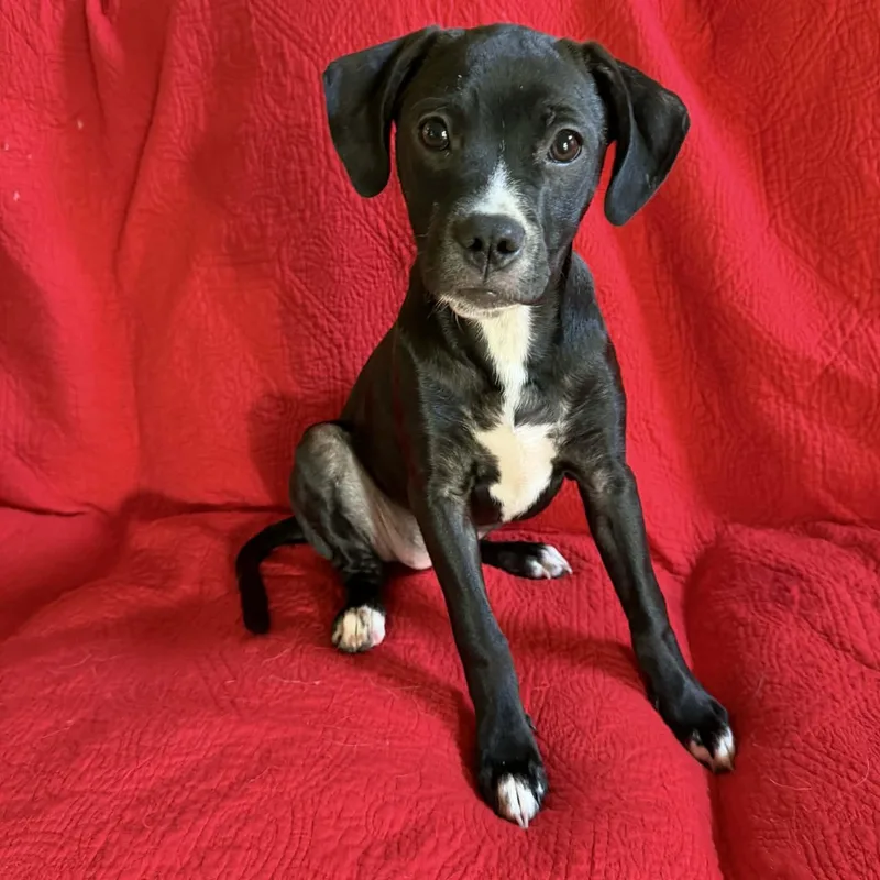 Edie May thumbnail 5