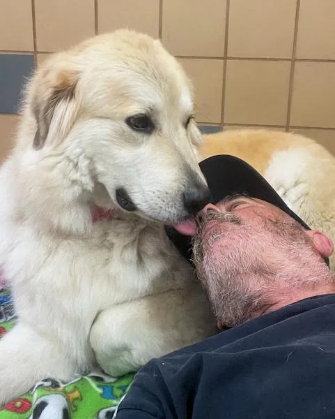 Shania Twain thumbnail 6