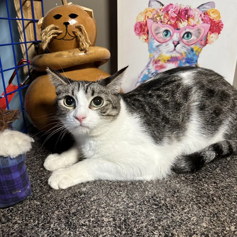 Cuddlers thumbnail 3