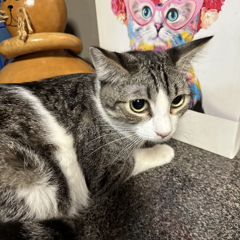 Cuddlers thumbnail 4