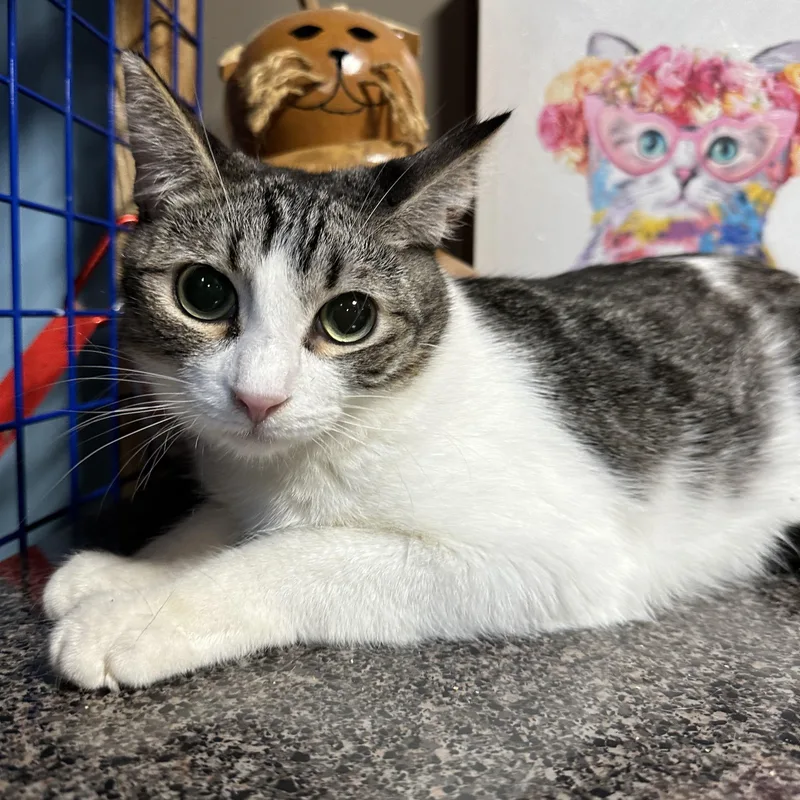 Cuddlers thumbnail 5