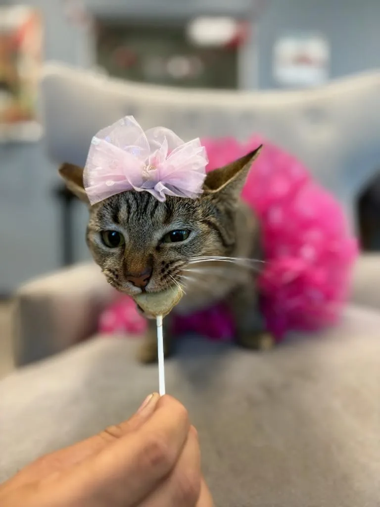 Cindy Lou Who thumbnail 4