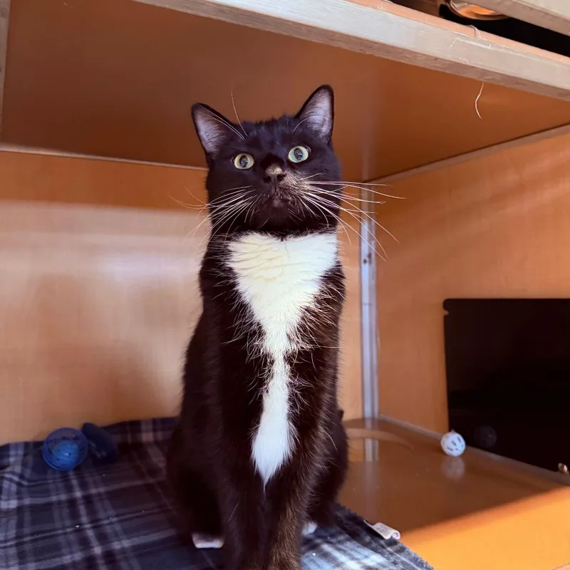 Jacqueline thumbnail 3