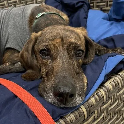 Mercedes thumbnail 2