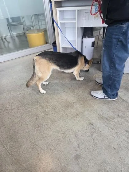 Marley Rose thumbnail 2