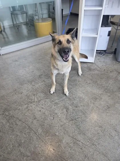 Marley Rose thumbnail 3