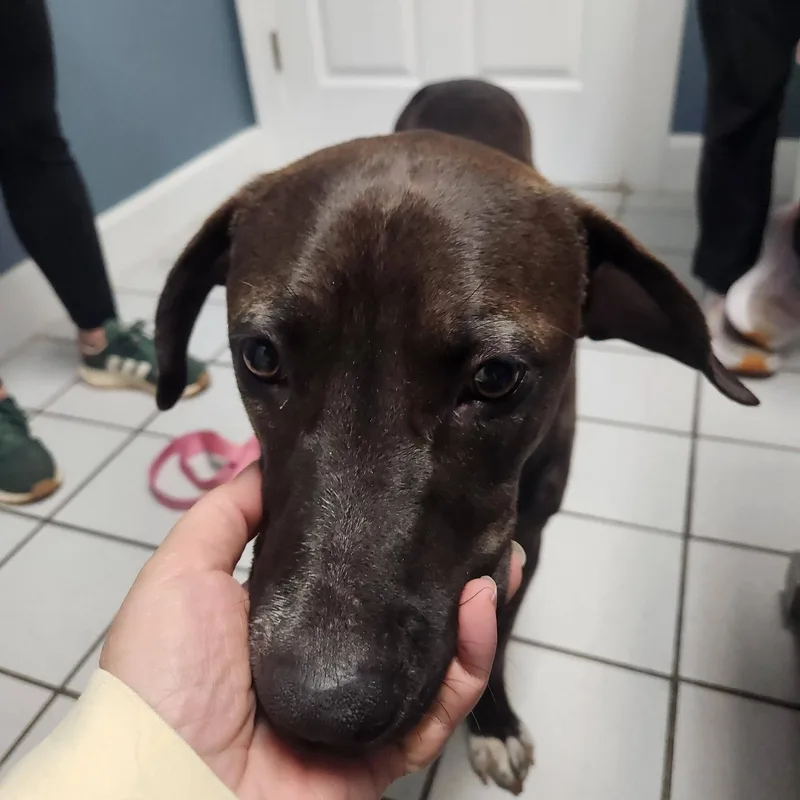 Gaia  Beautiful Momma thumbnail 3