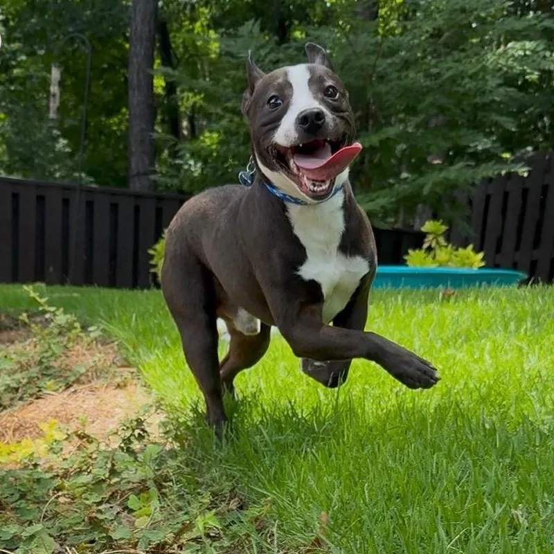 Winston