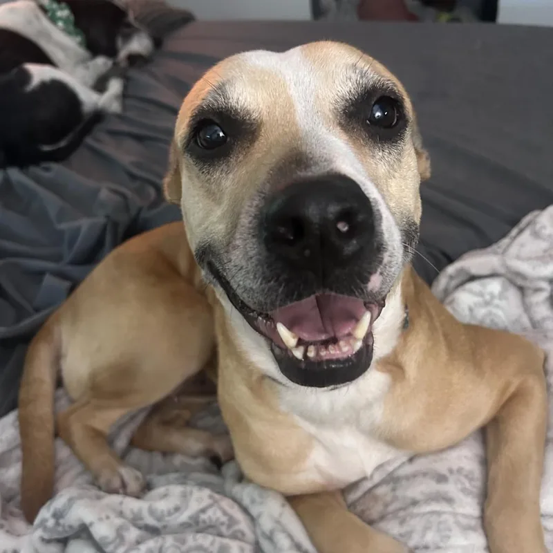 Libby thumbnail 6