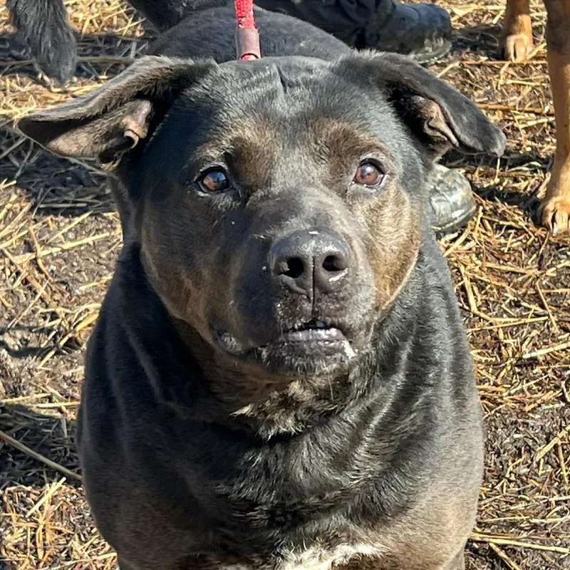 Mayor Maywho thumbnail 2