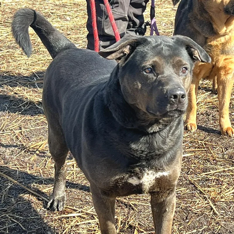 Mayor Maywho thumbnail 3