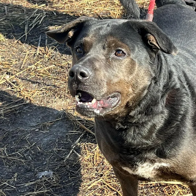 Mayor Maywho thumbnail 4